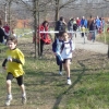 p1050006