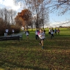 img-20161126-wa0053