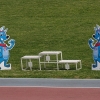 dsc06517