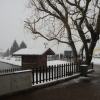 dscn4655