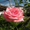 DSCN1998