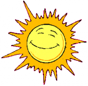 sole