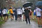 dsc_0078_small.jpg