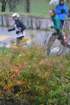 dsc_0086_small.jpg