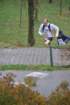 dsc_0095_small.jpg