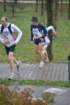 dsc_0096_small.jpg