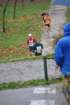 dsc_0107_small.jpg
