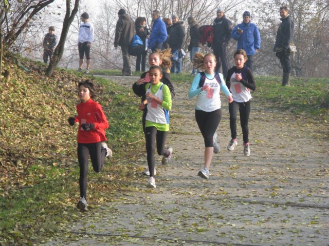 img_2570.jpg