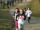 img_2594_small.jpg