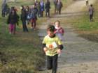 img_2595_small.jpg