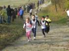 img_2602_small.jpg