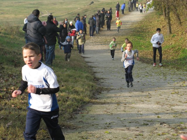 img_2603.jpg
