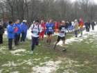 img_5037_small.jpg